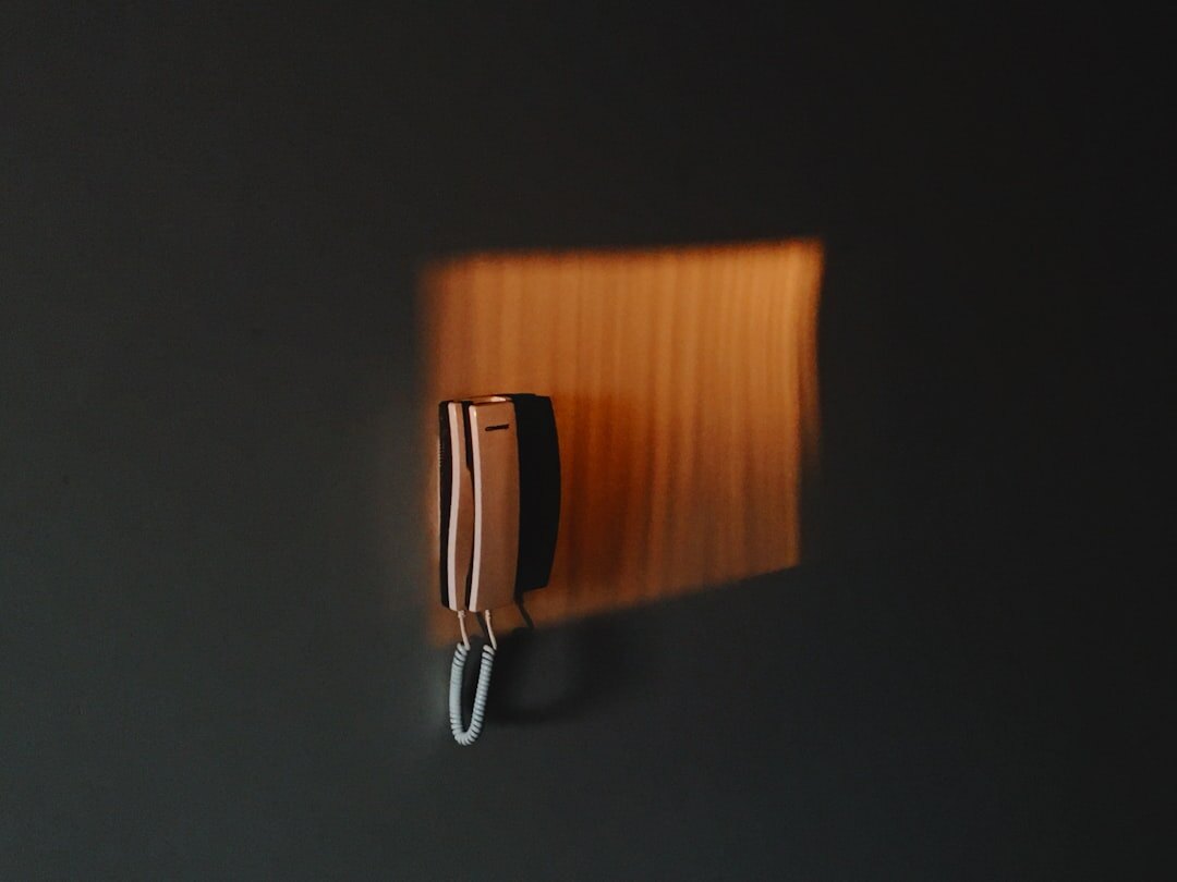 Dark book cover illustration of a locked door with keys hanging