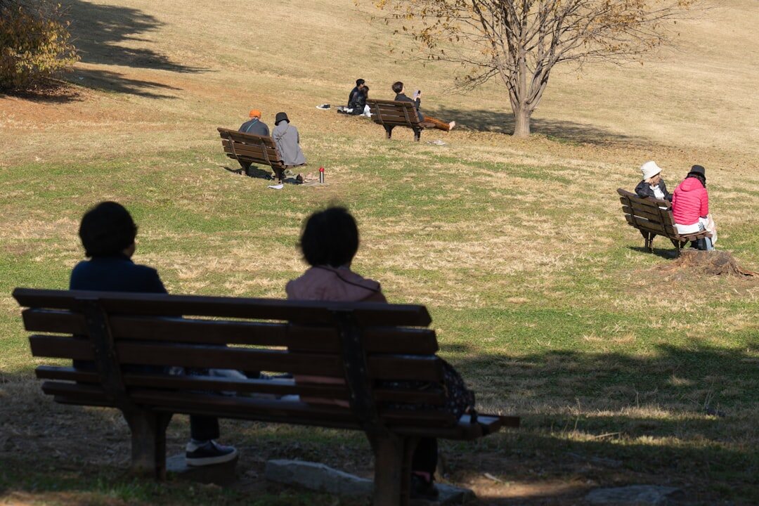 quiet park bench