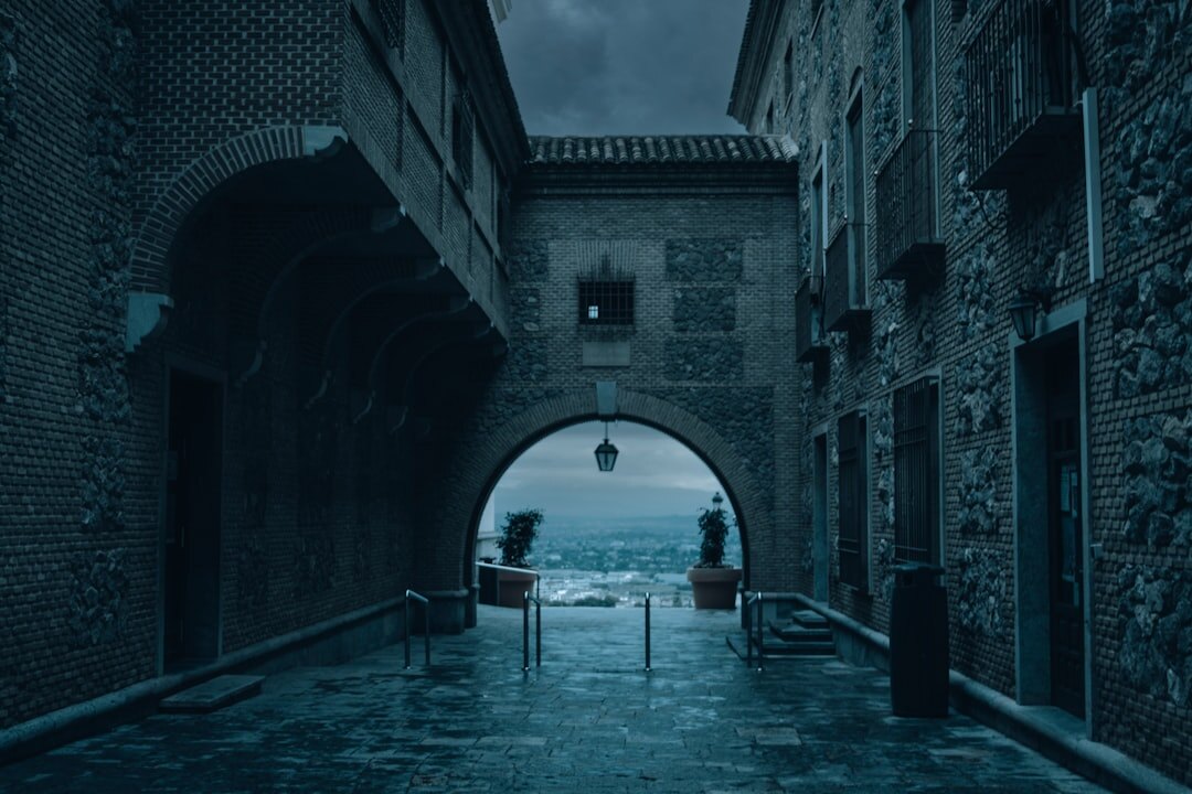 Dark book cover illustration of a foggy old town street at night